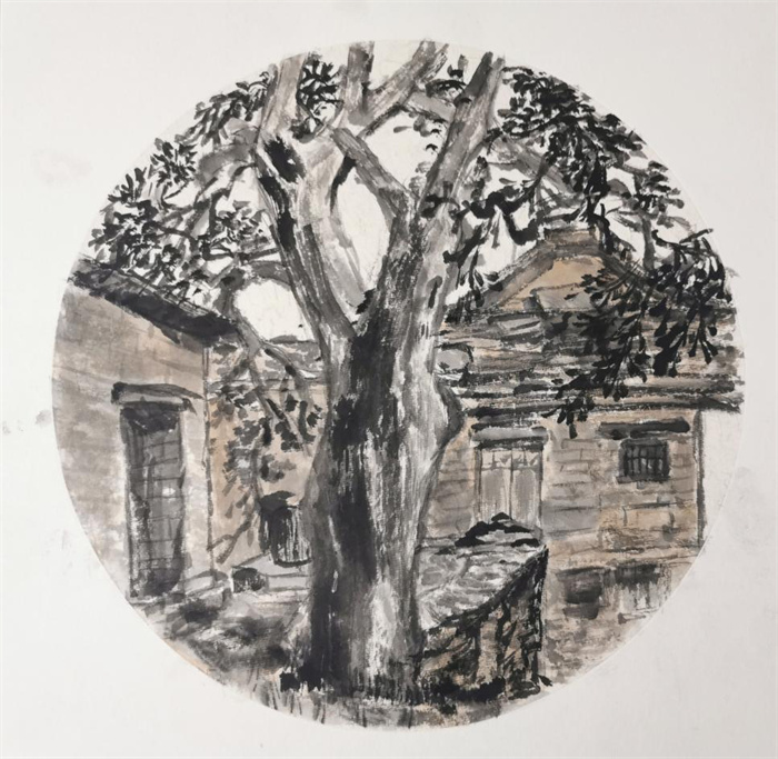 图片14.jpg