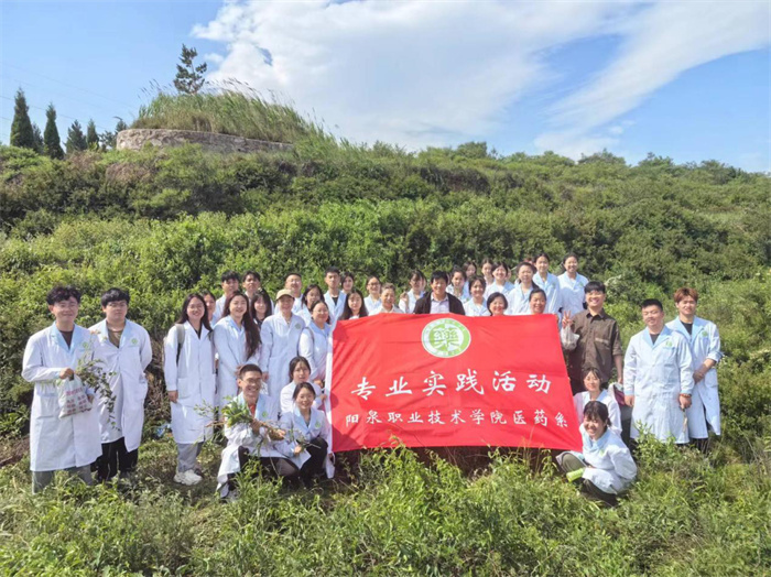 图片9.jpg 图片9.jpg