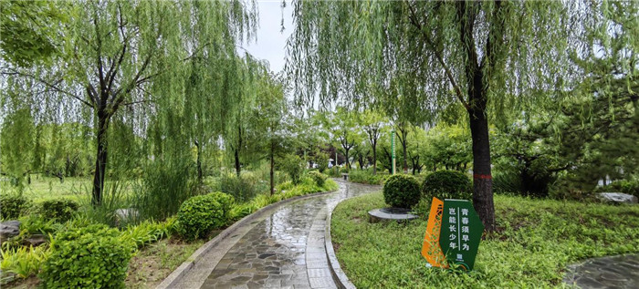 图片29.jpg 图片29.jpg
