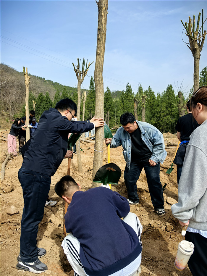图片1.jpg 图片1.jpg