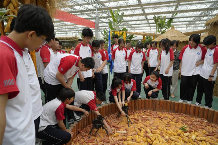图片8.jpg 图片8.jpg