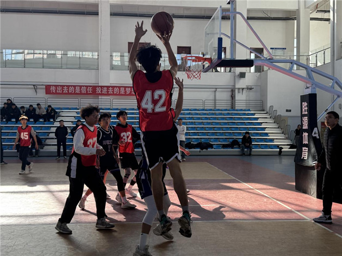 图片3.jpg 图片3.jpg
